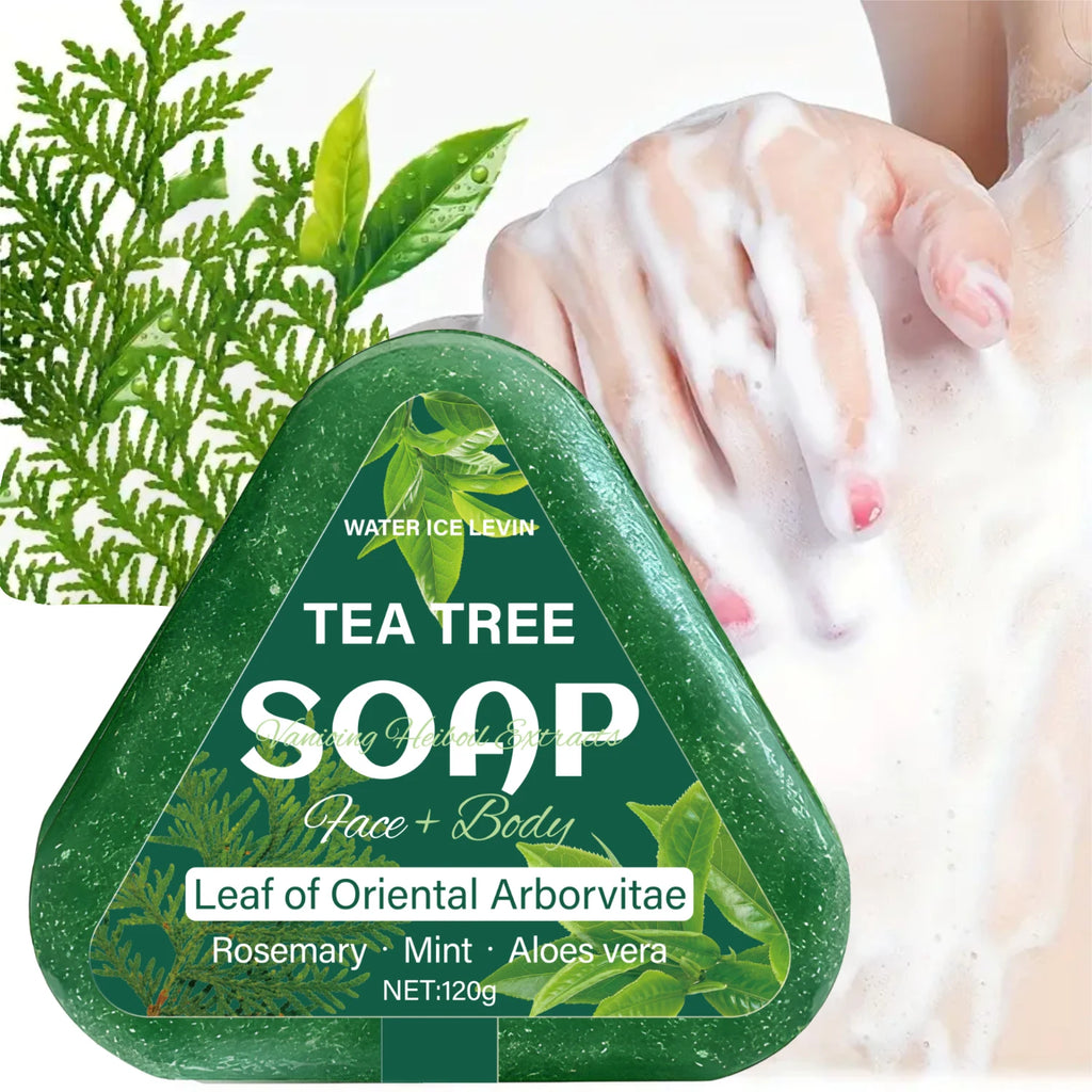 🌿 Savon Tea Tree Multi-Usage Visage, Corps & Cheveux — Romarin, Menthe, Aloe & Arborvitae | Hydratant Naturel