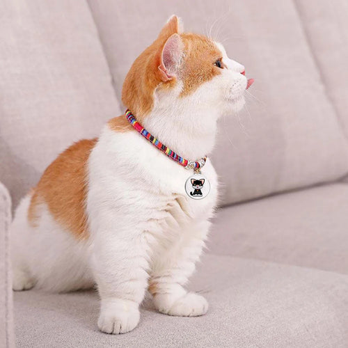Balise Bluetooth pour animaux et objets 🐾